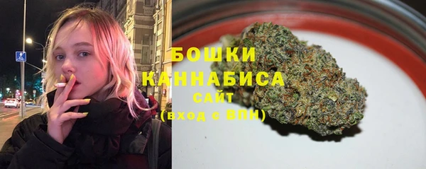 молекула духа Лагань