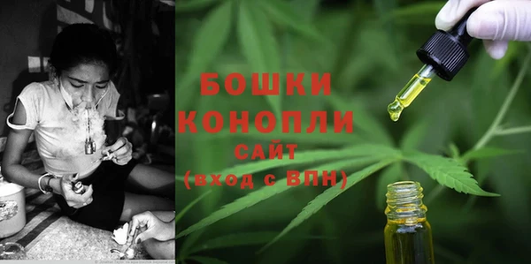 молекула духа Лагань