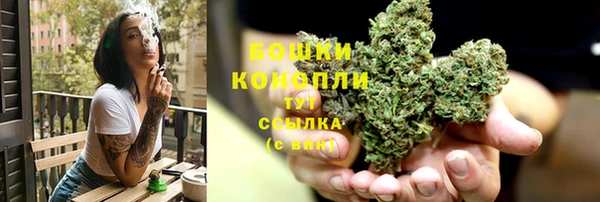 молекула духа Лагань