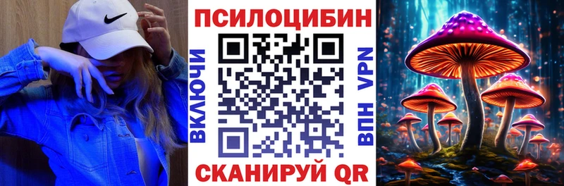 Купить где  Махачкала  Галлюциногенные грибы GOLDEN TEACHER 